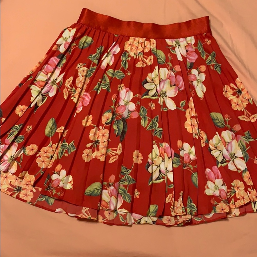 Express skirt. - Picture 2 of 2